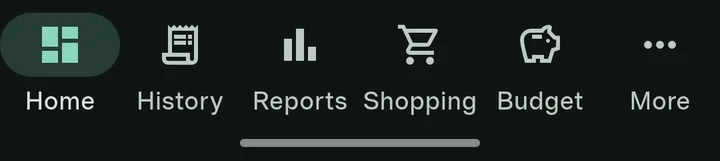 Bottom navigation bar with Home, History, Reports, Shopping, Budget and More tabs