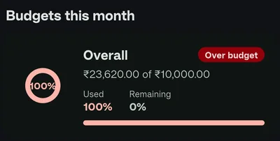 Dashboard budget card showing the overall budget 100% used and labeled Over budget